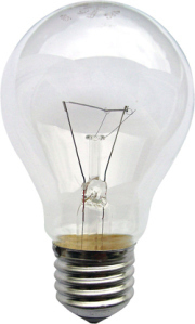 Light Bulb