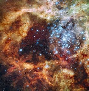 Grand star forming region r136, captured by the Hubble space telescope