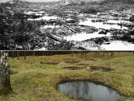 A field at Verdun in 1917 and in 2014