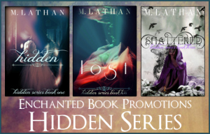 bannerhiddenseries
