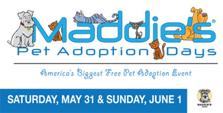 Maddie's_Adoption_Days