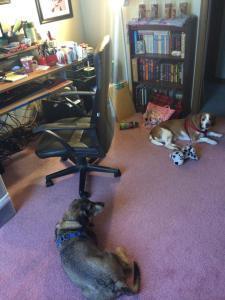 helpers