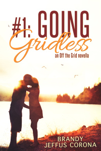 GoingGridless (1)