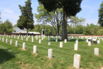 Cold Harbor National Cemetery.