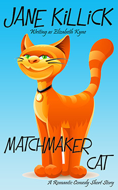 Matchmaker Cat by Jane Killick (cover)