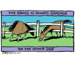 grass