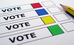 Irish Elections 2014