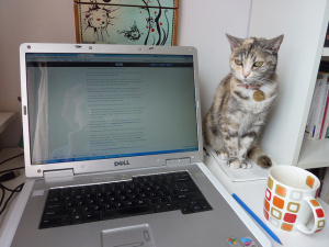 8218310993_7806b4cbed_z