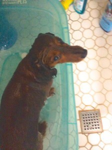 Milton in the Tub