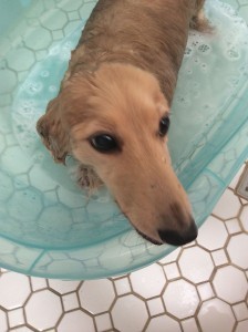 Veronica in the Tub