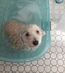 Mona in the Tub