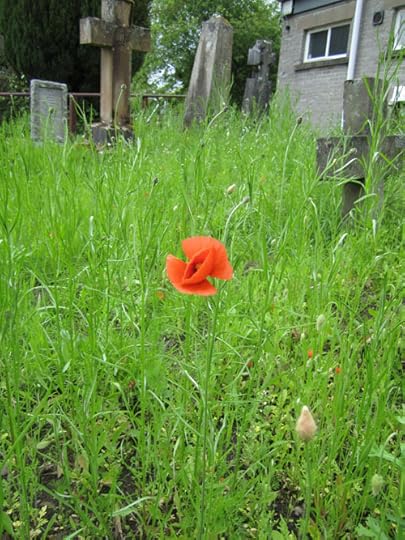 Violence Begets (Violence Begets 1) by P.T. Denys Goodreads