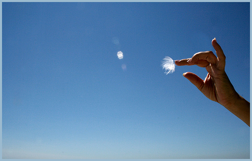 Photo by Dr Wendy Longo via Flickr
