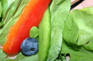 vegetarian renal diet