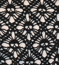 A piece of the skull shoawl