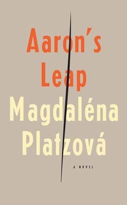 Aaron's Leap, by Magdaléna Platzová