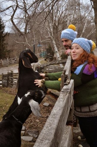 1607082_217583885118981_1370128011154496791_n