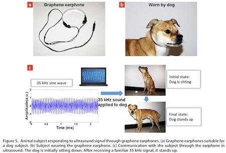 earphone-dog