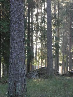 Tuusula april 2014 027