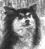 2 Doghead 1.457 by 1.573 inches