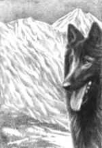 CITM-Billy-blog size