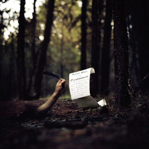 Photo by Joel Robison