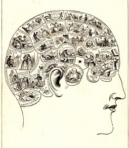 Phrenology Head diagram