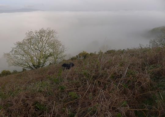 Nattadon Hill