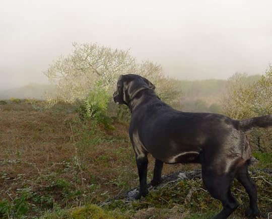 Nattadon Hill