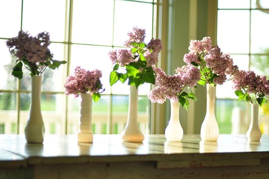 lilacs 056