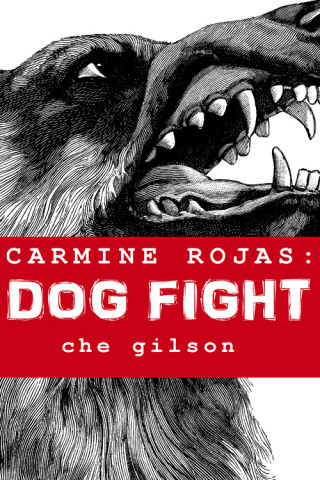 Carmine Cover DA