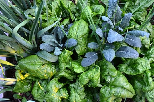 spring-veggies