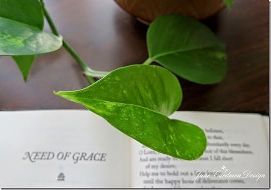 Leaf