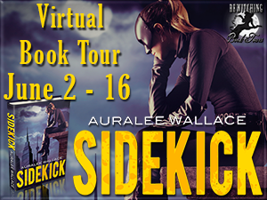 Sidekick Button 300 x 225