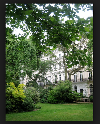 View back to houses from communal gardens - Notting Hill