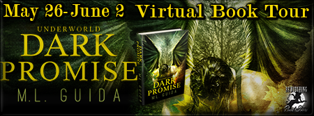 Dark Promise Banner 450 x 169