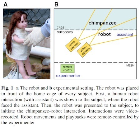 robot-doll