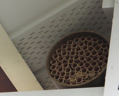 MasonBees
