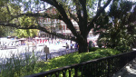 NOLA Street