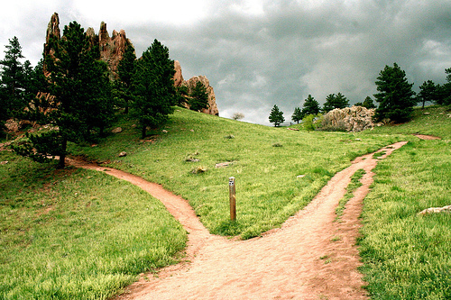 the-choice-of-2-paths-problem-generating-and-problem-solving