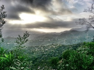 ForeverLands in Your Mind