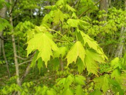 ???????????????????????????????