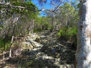 Rock Stairs Leading Up Mount Coolum