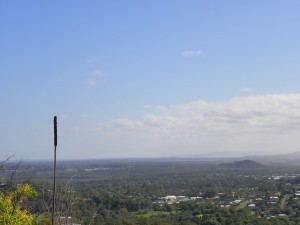 Flower Spike Of A Grass Tree