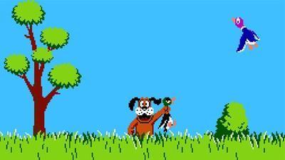 Duck Hunt