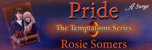 Copy of Pridebanner-1 (2)