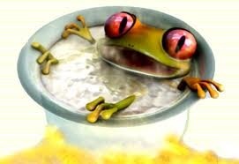 boiling frog