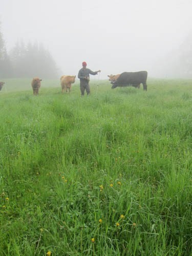 Curious. Or just hungry