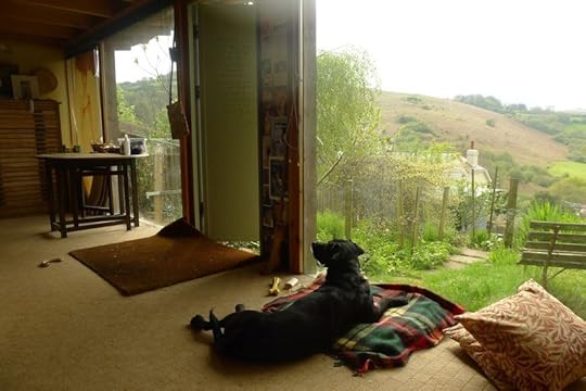 Tilly in the studio