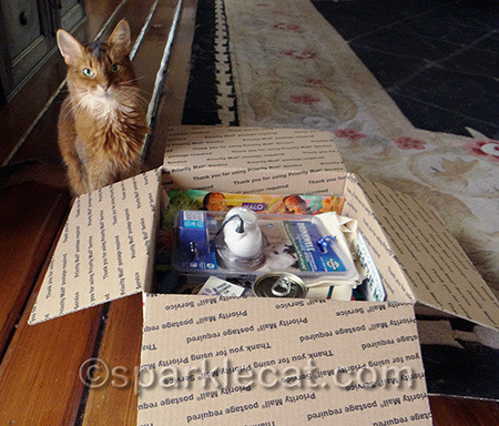 I have an opening for a feline assistant, if you know a kitty who is job hunting